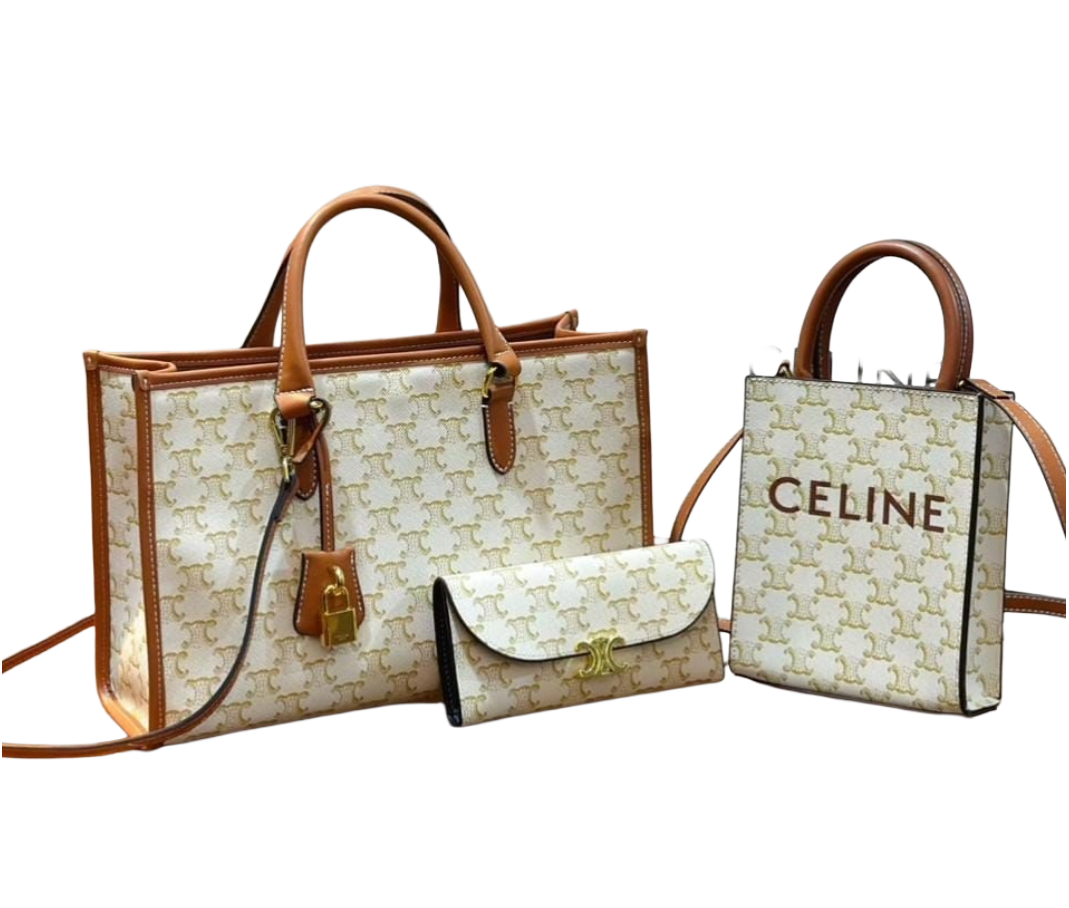 Celine Triomphe Canvas