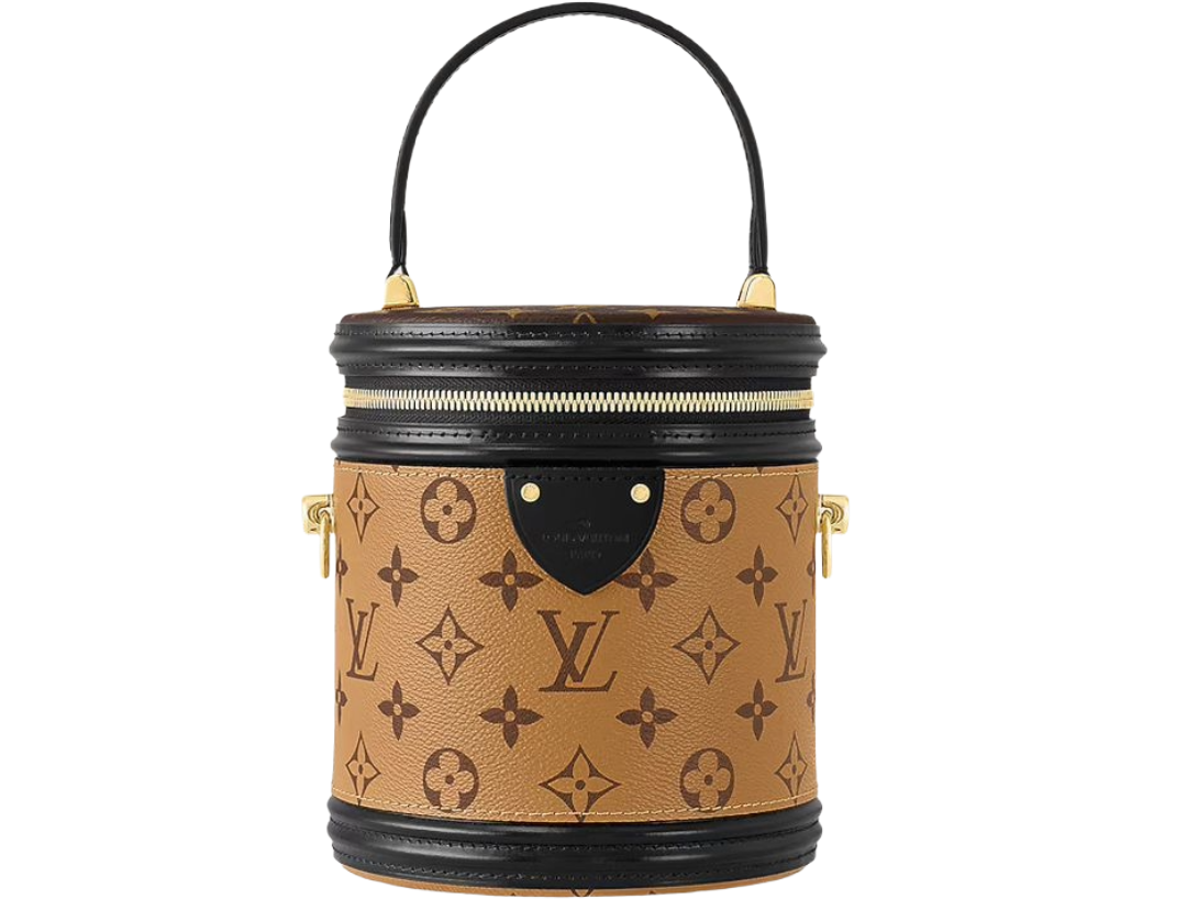 Louis Vuitton Cannes bag