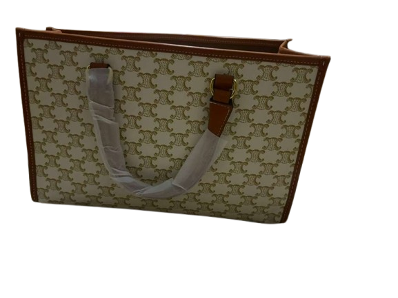 Celine Triomphe Canvas