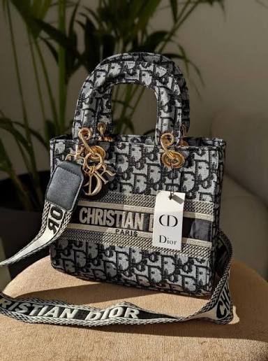 Christian Dior Lady D-Lite bag