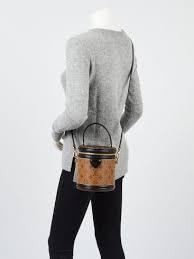 Louis Vuitton Cannes bag