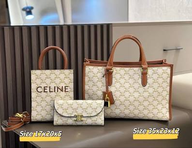 Celine Triomphe Canvas