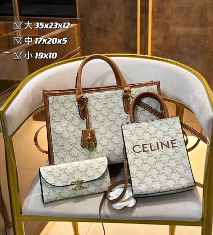 Celine Triomphe Canvas