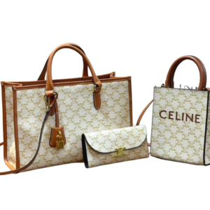 Celine Triomphe Canvas